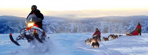 Arctic Challenge